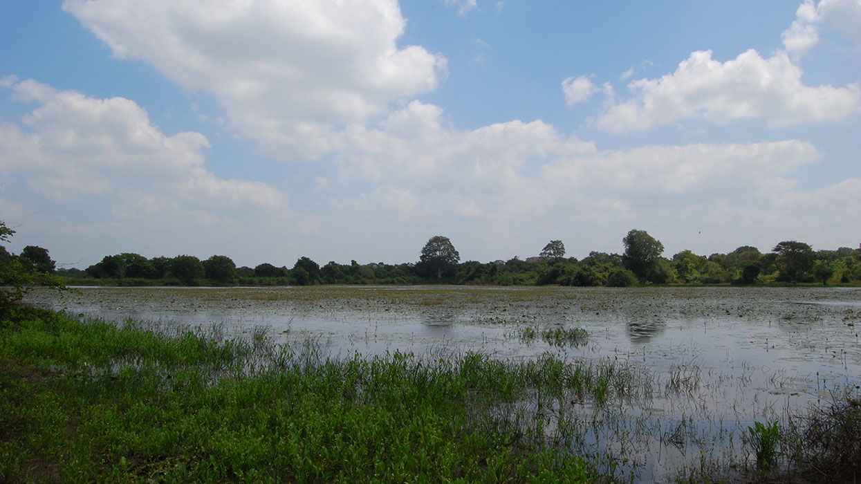 Best things to do in Anamaduwa