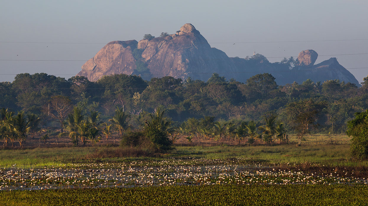 Best things to do in Anamaduwa