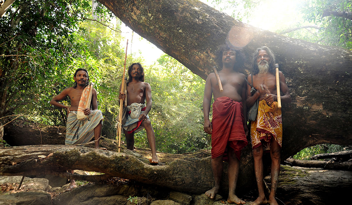 Best things to do in Dambana