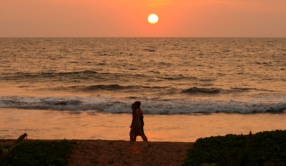 Best things to do in Induruwa