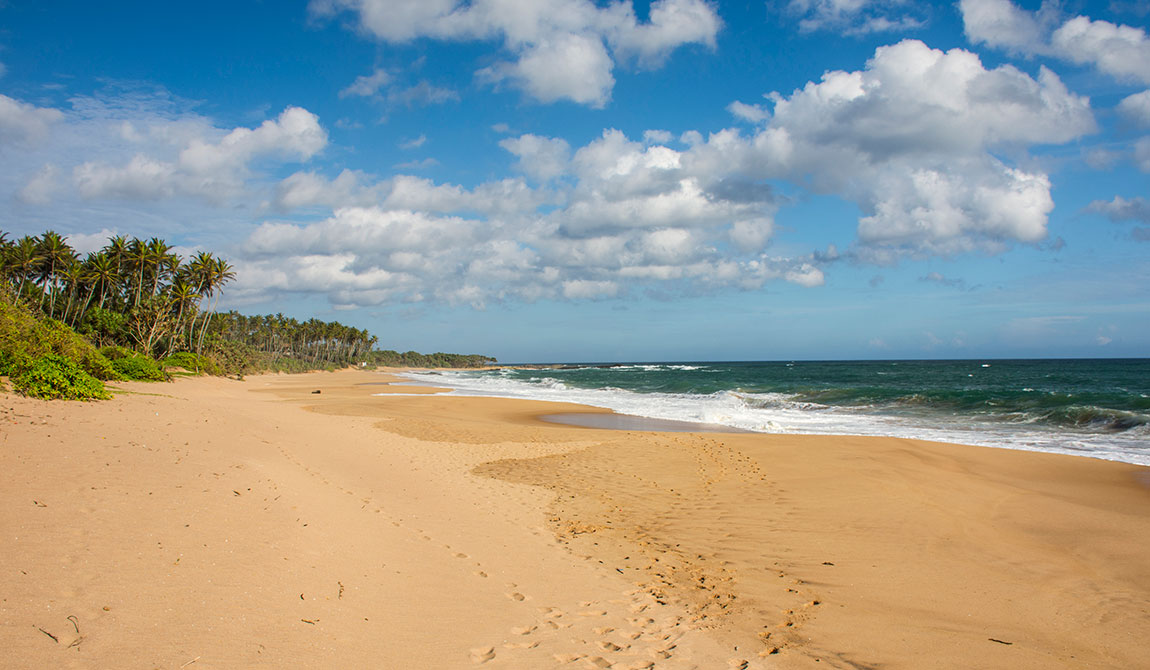 Best things to do in Rekawa