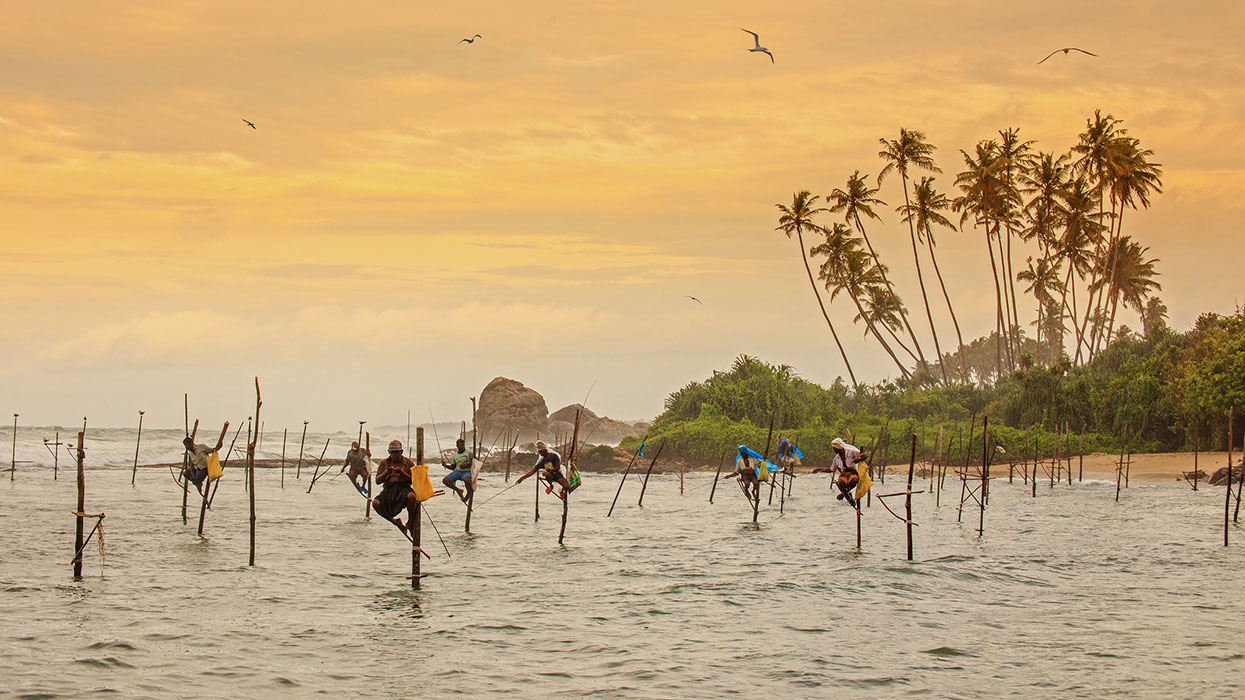 Best things to do in Weligama