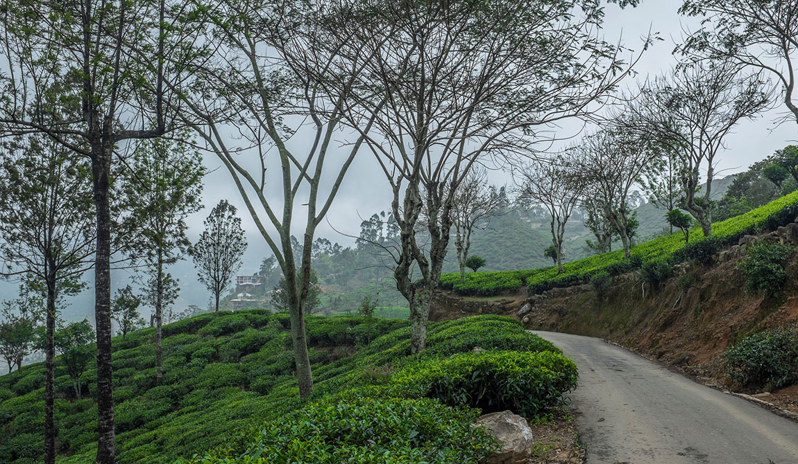 Haputale - Sri Lanka