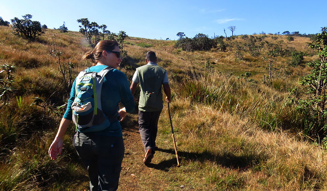 Trekking in Sri Lanka, Trekking Tours in Sri Lanka, Knuckles mountains trekking tours, Horton Plains trekking tours, Sinharaja Rain Forest Trekking Tours, Adams Peak Trekking Trips, Mountain trekking tours in Sri Lanka, Sinharaja rain forest trekking tours, World’s end trekking in Horton Plains, Knuckles trekking in mountain