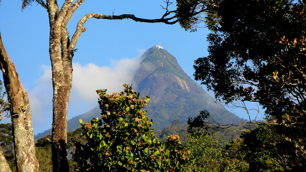 Adam's Peak hike in the off the beaten track