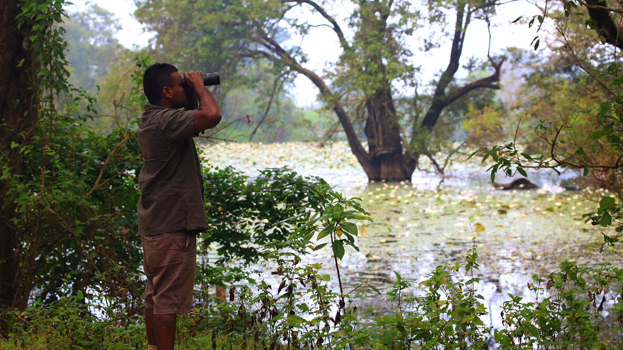 Nature trail in Habarana