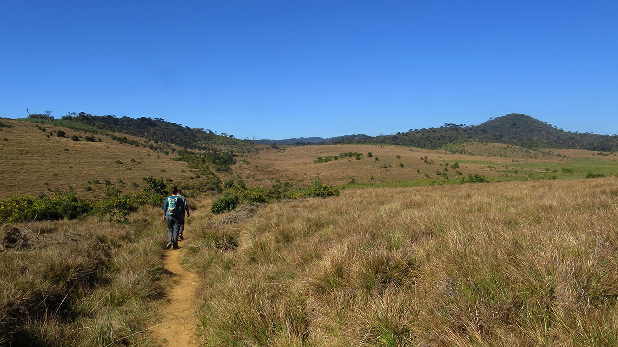 Kirigalpotta Hike
