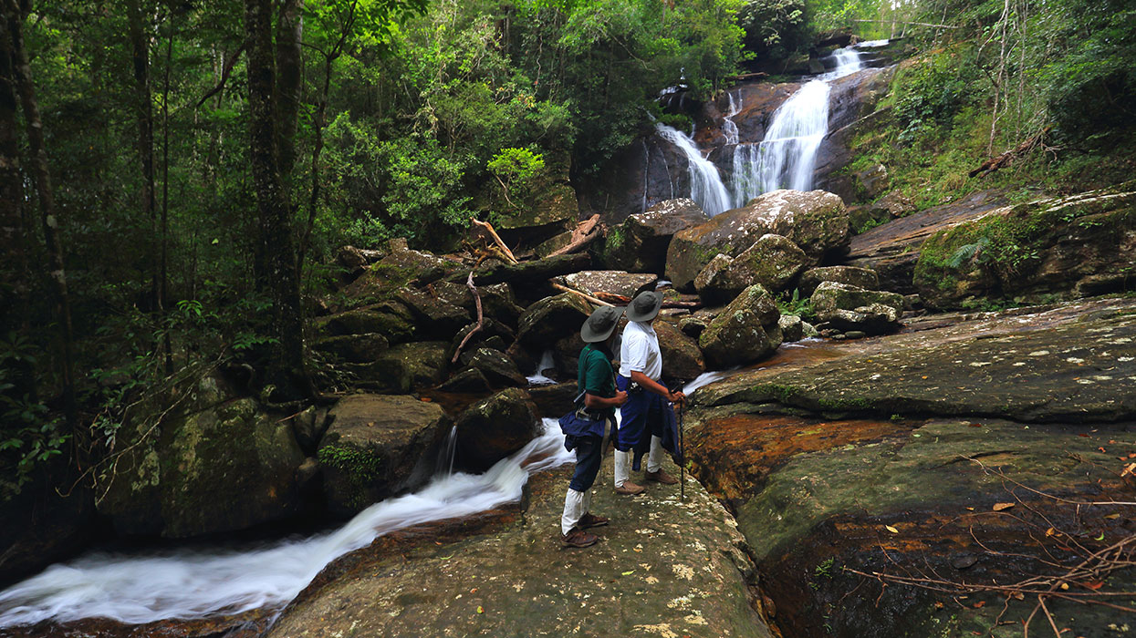 Sinharaja Trekking Tours in Sri Lanka