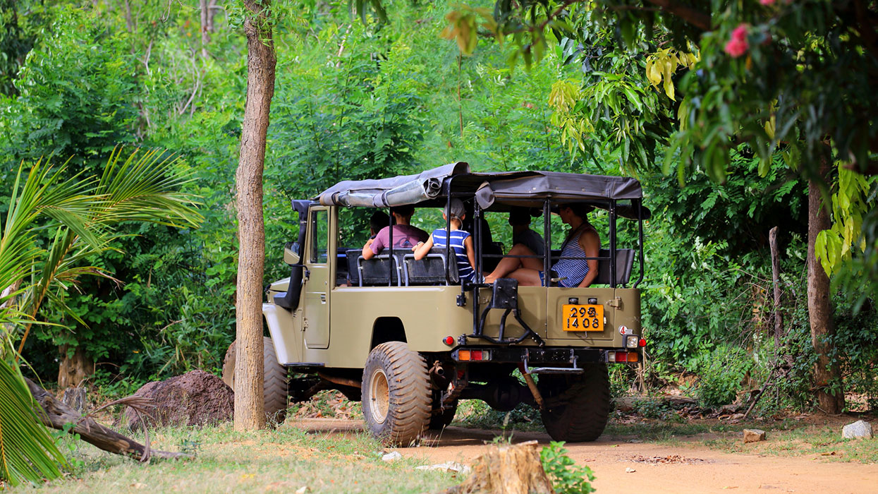 Culture and Nature trip in Sigiriya and Habarana by Jeep