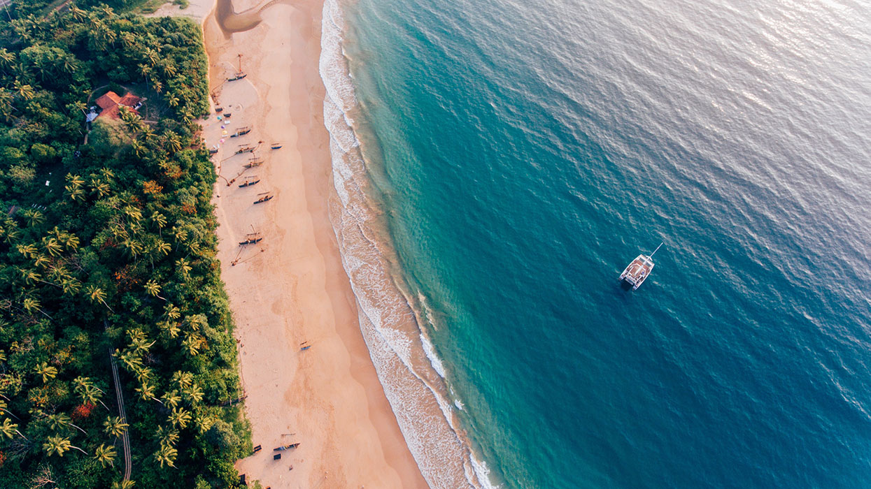 Sailing Catamaran tours in Weligama Sri Lanka