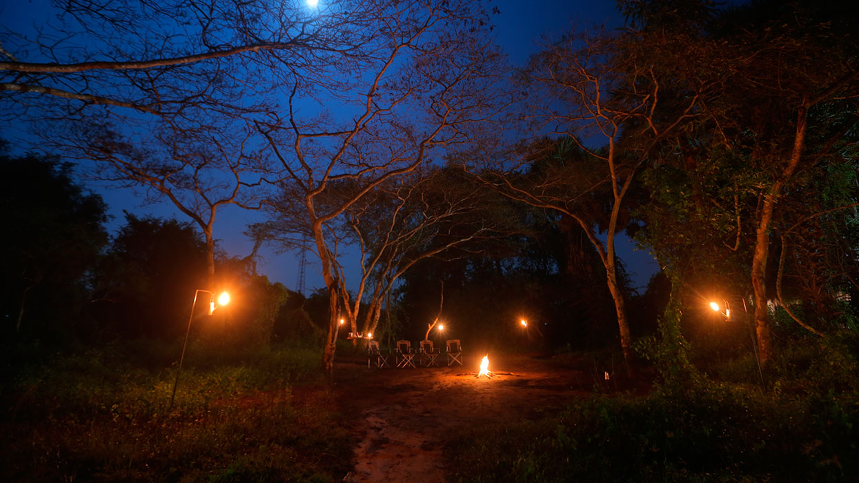 Stay in a Tented Safari Camp in Wilpattu