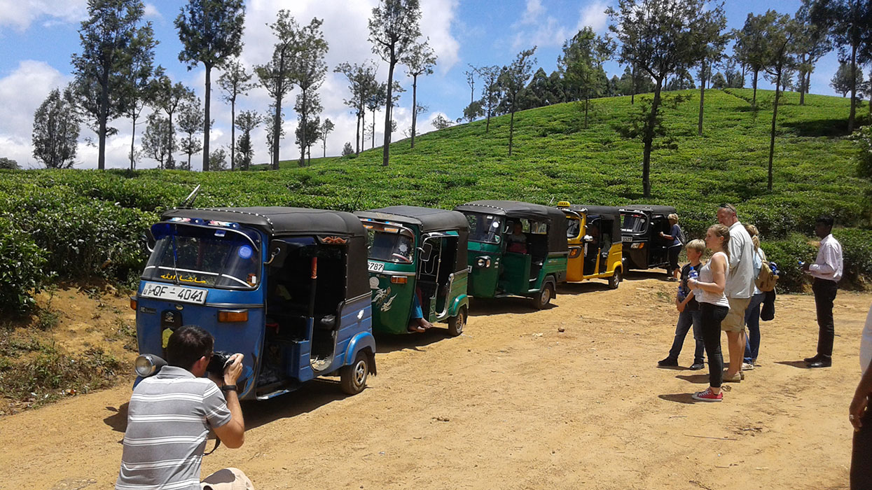Tuk Tuk tour to a Tea estate and factory