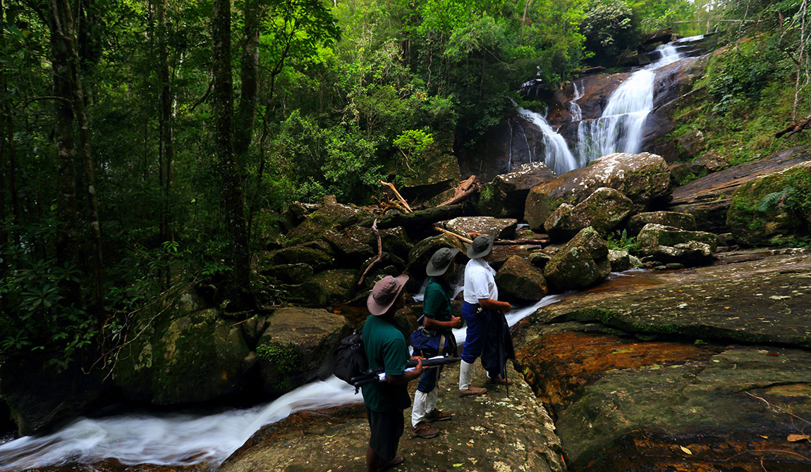 Sinharaja Forest Reserve