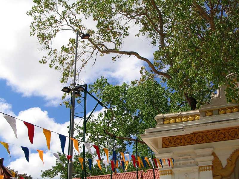 Sacred City of Anuradhapura