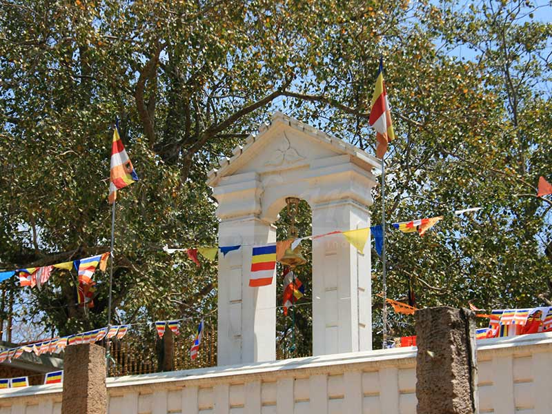 Jaya Sri Maha Bodhi – Anuradhapura, Sri Lanka