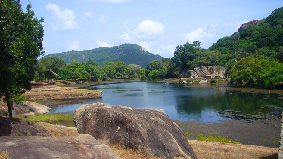 Kaludiya Pokuna Forest Sri Lanka