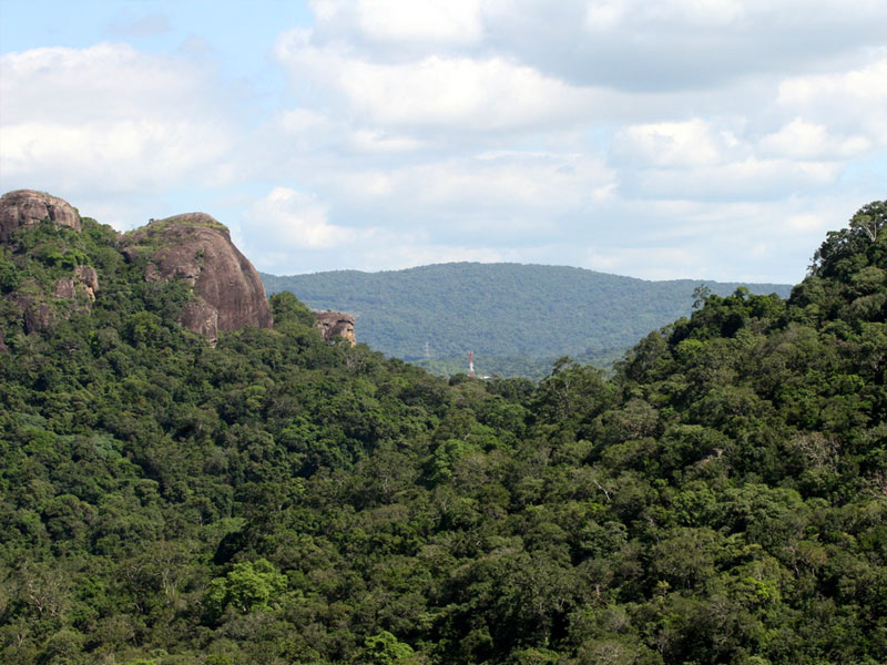 Kaludiya Pokuna Forest Sri Lanka