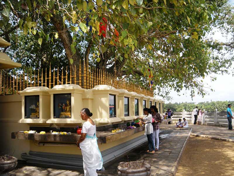 Kalutara Bodhiya, Sri Lanka