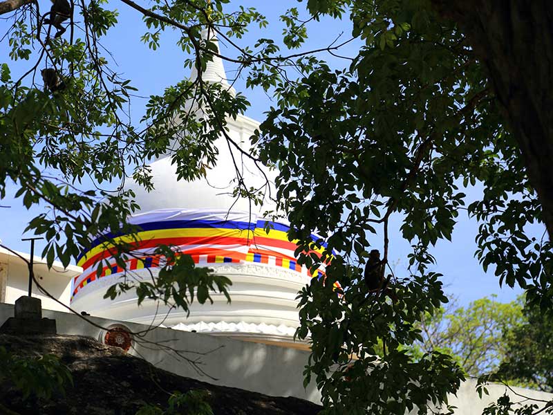 Kudumbigala Monastery