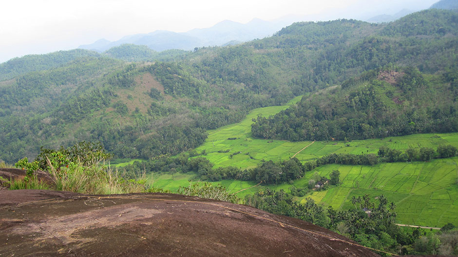 Country Walks in Bentota