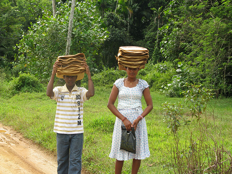 Country Walks in Bentota