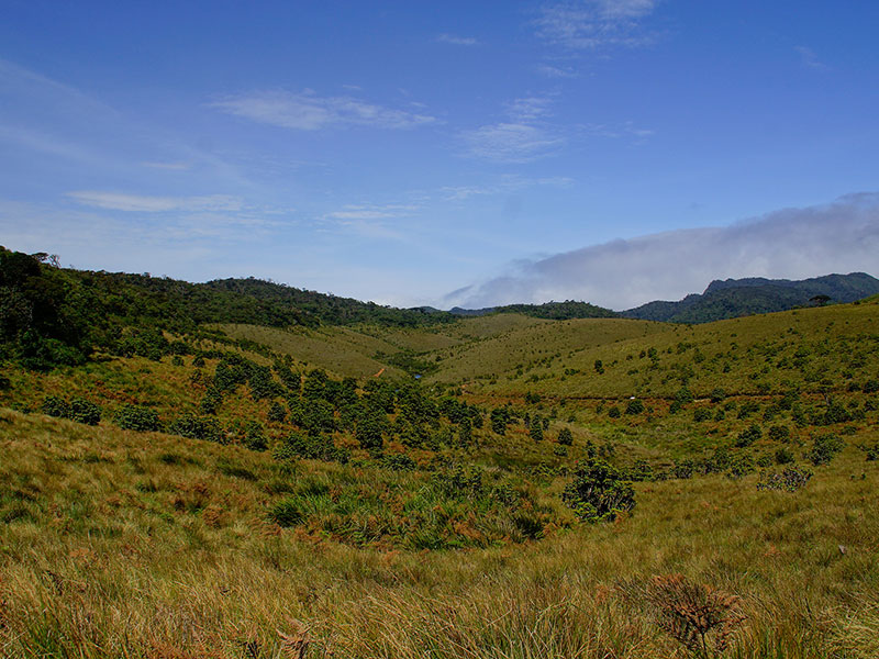 Horton Plains National Park