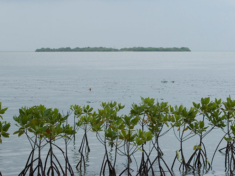 Kalpitiya Beach