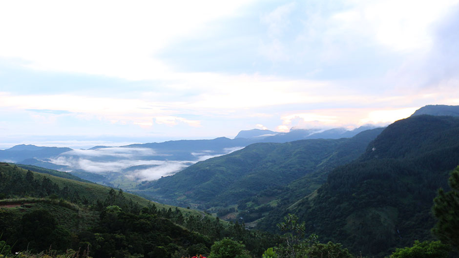 Knuckles Mountain Range