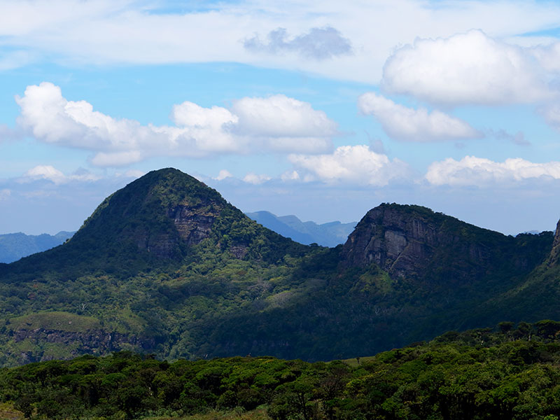 Knuckles Mountain Range