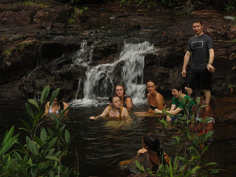 Makandawa Rain Forest