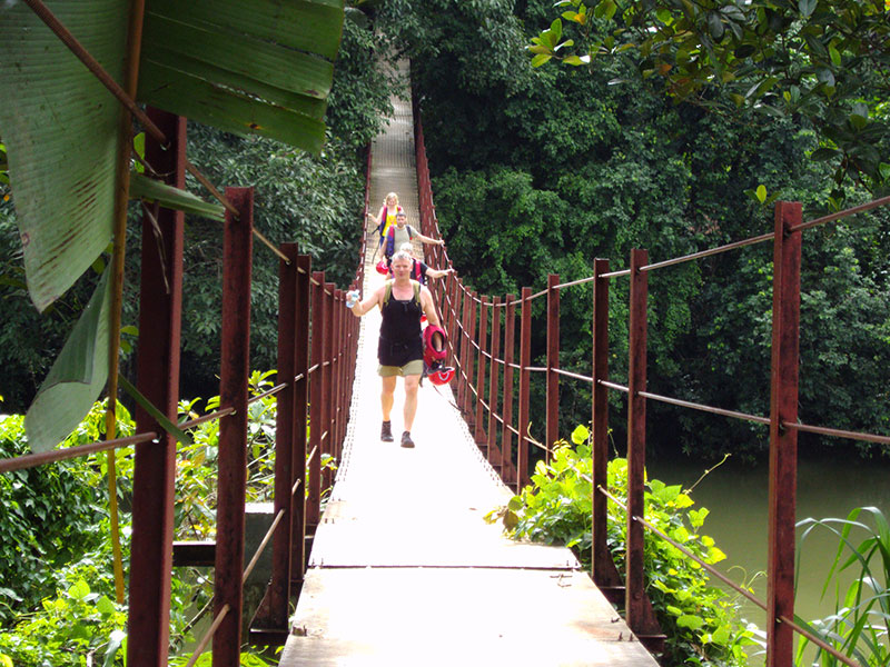 Makandawa Rain Forest