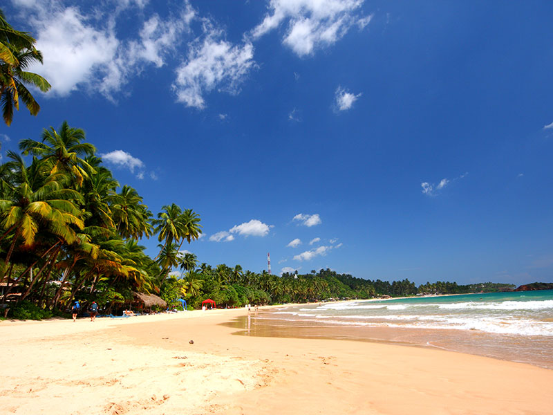 Mirissa Beach