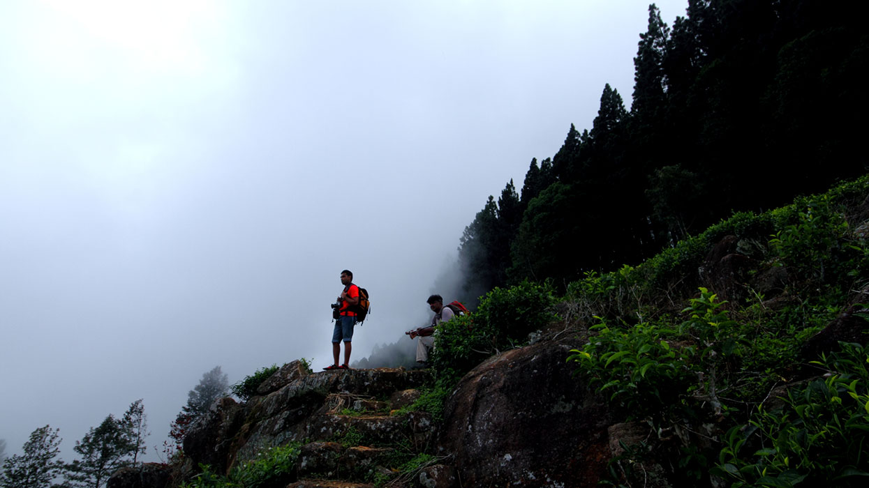Scenic Trekking and Hiking Tours in Horton Plains and Bambarakanda Waterfall - Horton Plains trekking tours - bambarakanda waterfall trekking tours - Bambarakanda Waterfall and Horton Plains Trekking - trekking tours in sri lanka - Horton Plains Ohiya and Bambarakanda Waterfall Trekking Trip in Sri Lanka - sri lanka trekking & hiking trips